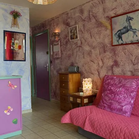 Apartment Appt 2 Pieces 4 Couchages Cap D'agde Ct450-018