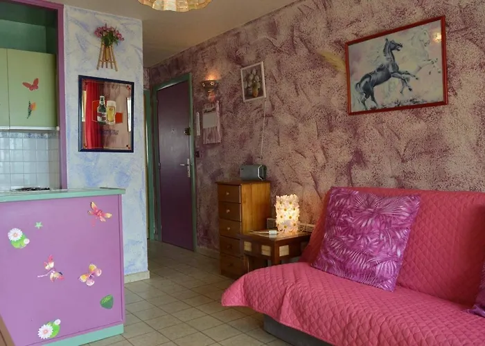 Appartement Appt 2 Pieces 4 Couchages Cap D'agde Ct450-018